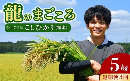 ＜3ヵ月定期便＞【令和7年産】龍ケ崎の特別栽培米 コシヒカリ 5kg ❙ こしひかり お米 米 こめ 白米 精米 冷めてもおいしい 美味しい こだわり いばらきみどり認定 おにぎり 茨城県 龍ケ崎市産