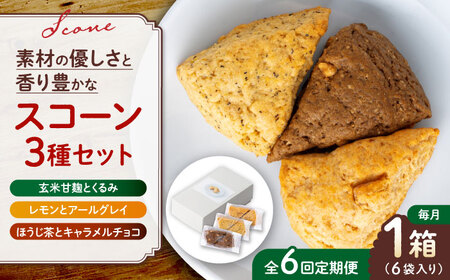 【全6回定期便】山鹿の恵み香り豊かなスコーンセット（3種類×2個）【BANBA BON BONS】[ZDW007]