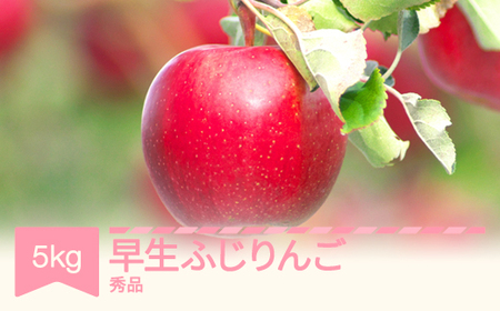 【先行予約】 早生ふじりんご 秀品 約5kg りんご 令和 8年産 2026年産 果物 ※沖縄・離島への配送不可 sb-riwfx5