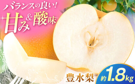 【先行予約】豊水梨　約1.8kg 梨 ナシ フルーツ 果物 【日本フルーツ株式会社】[ZFJ059]