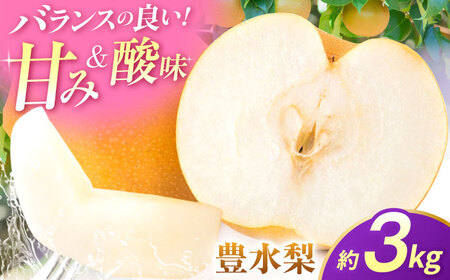 【先行予約】豊水梨　約3kg 梨 ナシ フルーツ 果物 【日本フルーツ株式会社】[ZFJ060]