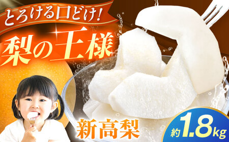 【先行予約】新高梨　約1.8kg 梨 ナシ フルーツ 果物 【日本フルーツ株式会社】[ZFJ063]