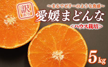 【まどんな】 【先行予約】 訳あり まどんな 5kg 前田ファーム