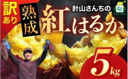 【訳あり】針山さんちのさつまいも 紅はるか 5kg / さつまいも 紅はるか 岡山県 野菜 【ybrf002-01】