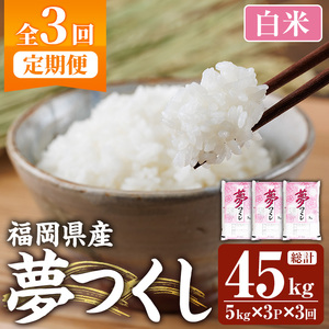 ≪令和7年産≫【3回定期便・白米】【食味鑑定士厳選】福岡県産 夢つくし(総計45kg・5kg×3袋×3回) 白米 米 お米 おこめ ごはん ゆめつくし ご飯 常温 福岡県産 ブランド米 定期便 定期 頒布会 常温 常温保存 【ファインリョーコク】as34-014