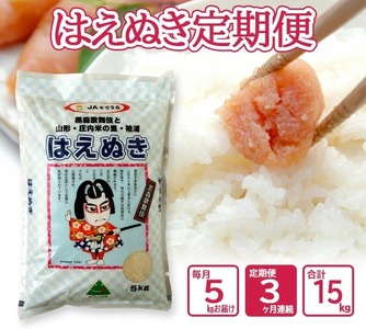 SE0583　【3回定期便】［精米］はえぬき　5kg×3回(計15kg) JS