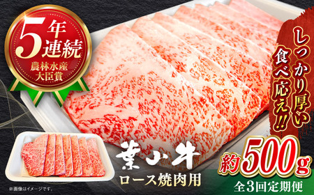 【全3回定期便】【葉山牛】500g ロース焼肉用 ／ 牛肉 黒毛和牛 神奈川県 特産品【葉山牛ステーキレストラン 角車】[ASBD054]