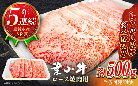 【全6回定期便】【葉山牛】500g ロース焼肉用 ／ 牛肉 黒毛和牛 神奈川県 特産品【葉山牛ステーキレストラン 角車】[ASBD055]