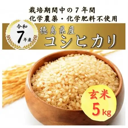 栽培期間中7年間化学農薬・化学肥料不使用　徳島県産コシヒカリ　5kg　玄米【1676515】