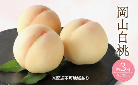 桃 2026年 先行予約 白桃 3kg 9～12玉 岡山