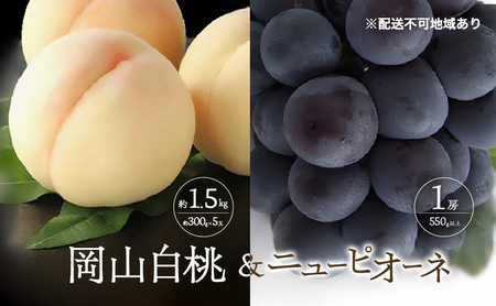 桃 ぶどう 2026年 先行予約 白桃 5玉 合計約1.5kg （1玉 約300g） ニュー ピオーネ 1房 550g