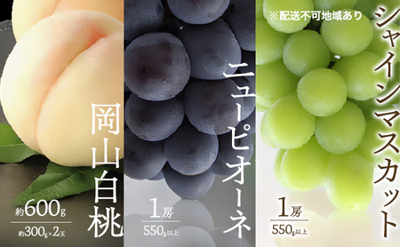桃 ぶどう 2026年 先行予約 白桃 2玉 合計約600g （1玉約300g） シャインマスカット 晴王 ニューピオーネ 各1房 550g以上