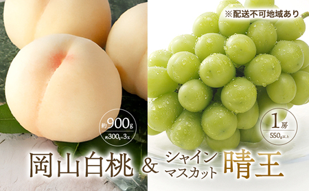 桃 ぶどう 2026年 先行予約 白桃 3玉 合計約900g （1玉約300g） シャインマスカット 晴王 1房 550g以上