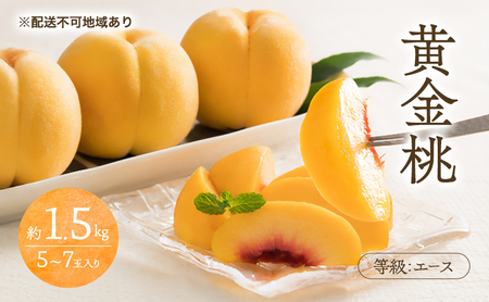 桃 2026年 先行予約 黄金桃 等級 エース 約1.5kg 5～7玉 岡山