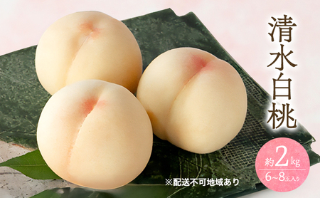 桃 2026年 先行予約 清水 白桃 2kg 6～8玉 岡山