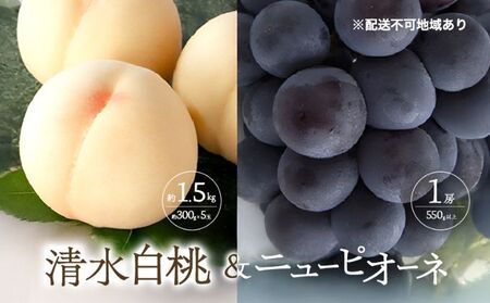 桃 ぶどう 2026年 先行予約 清水 白桃 5玉 約1.5kg 1玉約300g ニュー ピオーネ 1房 550g以上
