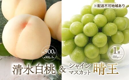 桃 ぶどう 2026年 先行予約 清水 白桃 3玉合計 約900g （1玉約300g） シャインマスカット 晴王 1房 550g以上