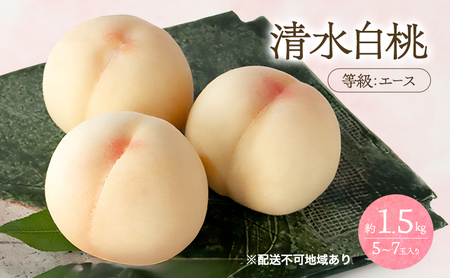 桃 2026年 先行予約 清水 白桃 等級 エース 約1.5kg 5～7玉 岡山
