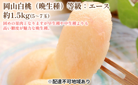 桃 2026年 先行予約 白桃 晩生種 等級 エース 約1.5kg  5～7玉 岡山 固め