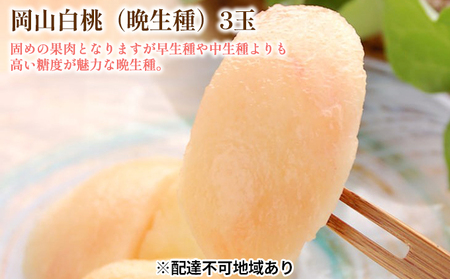 桃 2026年 先行予約 白桃 晩生種 3玉 合計約900g （1玉約300g）岡山 固め