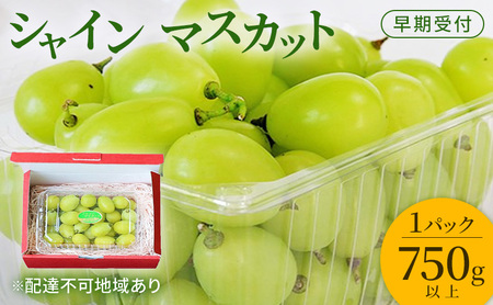 ぶどう 早期受付 シャインマスカット 1パック（750g以上） 