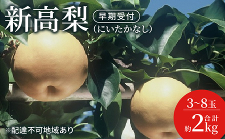 梨 早期受付 新高 梨 （にいたかなし）3～8玉 合計約2kg