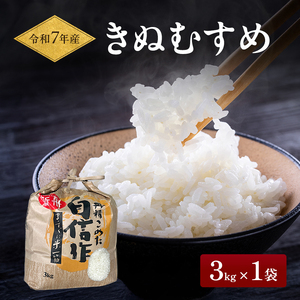 米 令和7年産 米 3kg×1袋 きぬむすめ 特A