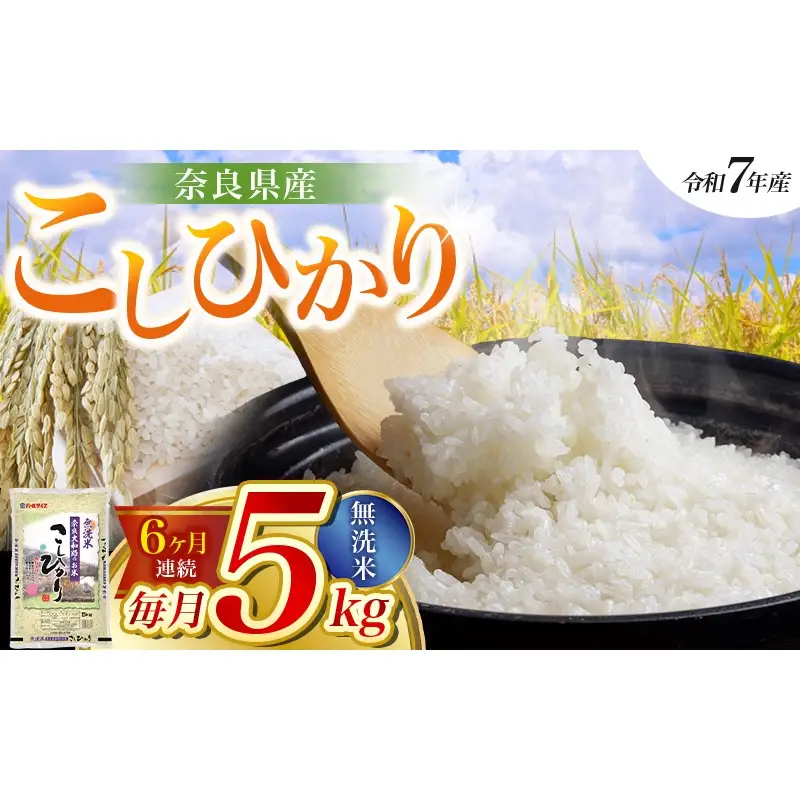  【令和7年産米】（6ヵ月定期便） 無洗米 奈良県産 こしひかり 計30kg（5kg×1袋×6回）／ 全農パールライス 米 お米 白米 国産 奈良県 葛城市 こめ コメ ライス ご飯 ごはん ふっくら もちもち つやつや おいしい 美味しい 贈り物 国産 特産品 産地直送 数量限定 人気 おすすめ 5キロ 5kg 6ヵ月【prr-tkb004】