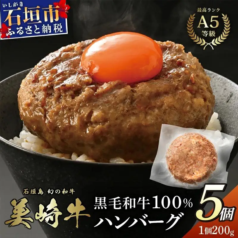 美崎牛 100％ ハンバーグ 200g×5個