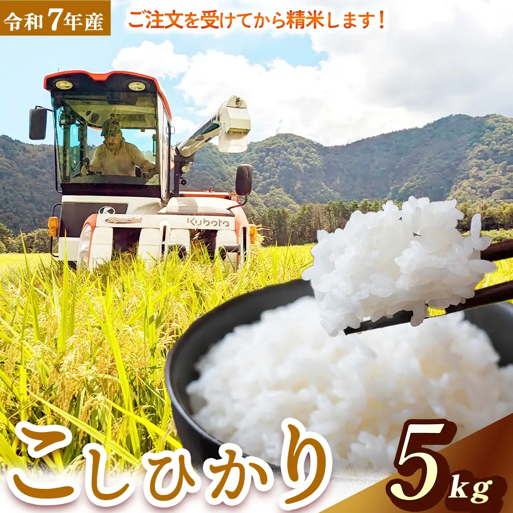【在庫限定】令和7年産米 コシヒカリ 5kg （山崎農園）数量限定