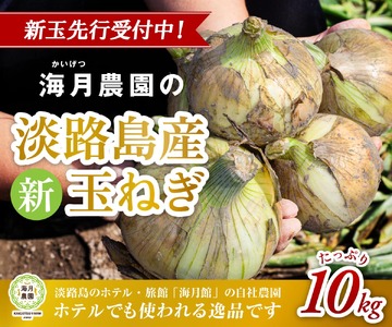 【予約販売】海月館 自社農場栽培！淡路島産 新玉ねぎ 10kg