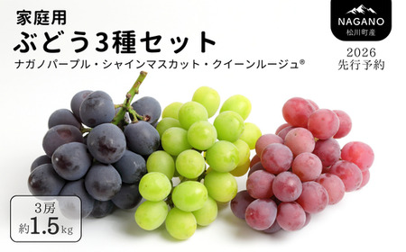 TK32　ぶどう3種セット 【家庭用】 （ナガノパープル／シャインマスカット／クイーンルージュ®） 約1.5kg ／ 2026年9月初旬～10月頃 配送予定 // ぶどう 葡萄 3種セット 食べ比べ 長野県 信州 詰め合わせ 家庭用 訳あり 種なし パープル シャイン マスカット ルージュ