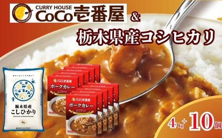 【定期便3回】ポークカレー と コシヒカリ の 贅沢セット！ | こしひかり カレー