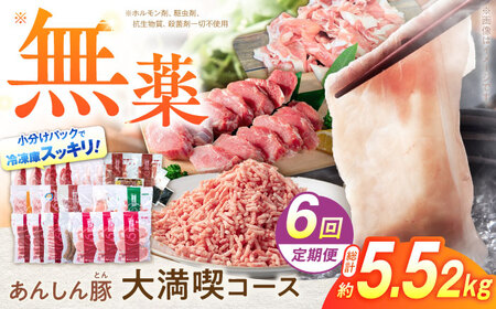 【6回定期便】 豚肉大満喫コース 計5.52kg 白川町 / 藤井ファーム[AWAF073]