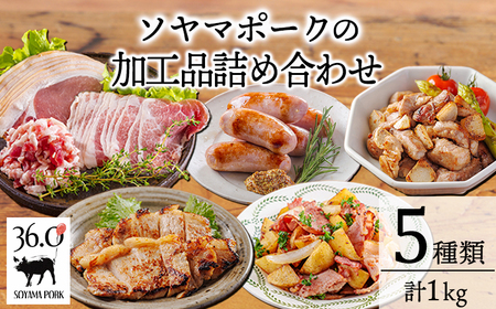 ソヤマポークの加工品詰め合わせ[ロース バラ モモ パンチェッタ サイコロステーキ みそぶた おつまみ パーティー]TF862-P00078