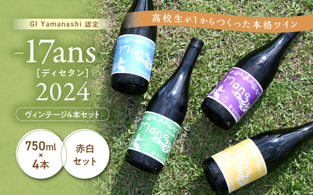ヴィンテージワイン4本セット 農林高校ワイン 17ans[ディセタン]2024