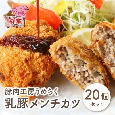 Y04-09 乳豚 メンチカツ20個 メンチカツ