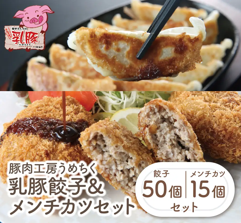 Z04-10 寄附額改定↓↓ 乳豚 餃子50個＆メンチカツ15個セット メンチカツ