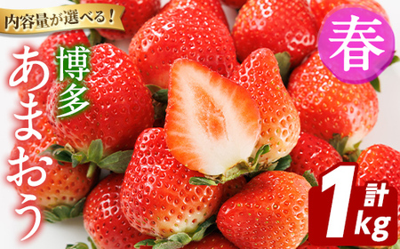 ＜先行予約受付中！2027年2月上旬以降順次発送予定＞博多 あまおう《春》 (計1kg・250g～270g×4パック) いちご イチゴ 苺 ストロベリー 果物 フルーツ おやつ デザート 冷蔵 アマオウ 旬 小分け 【農産物直売所ほたるの里】as52-009