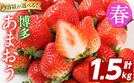 ＜先行予約受付中！2027年2月上旬以降順次発送予定＞博多 あまおう《春》 (計1.5kg・250g～270g×6パック) いちご イチゴ 苺 ストロベリー 果物 フルーツ おやつ デザート 冷蔵 アマオウ 旬 小分け 【農産物直売所ほたるの里】as52-010