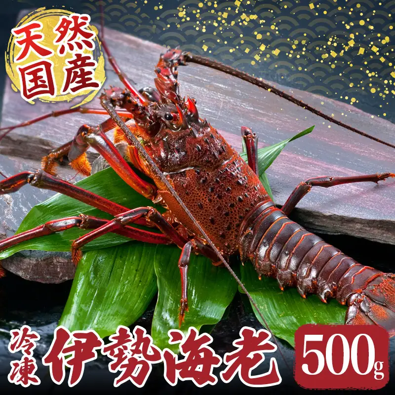伊勢えび 約500g 産地直送 冷凍 伊勢えび