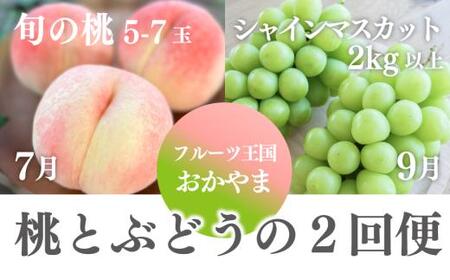 桃も葡萄もしっかり食べたい！旬桃とシャインマスカットの満足便 (定期便) (岡山県産) / 7月9月 【2026年先行予約】【KF-T061-02】