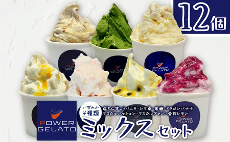 POWER GELATO（ ミックスセット 12個入り ） C073-004-02 冷凍 菓子 お菓子 スイーツ
