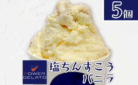 POWER GELATO（ 塩ちんすこうバニラ ） 90ml × 5個入り C073-005-01 冷凍 菓子 お菓子 スイーツ