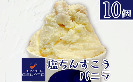 POWER GELATO（ 塩ちんすこうバニラ ） 90ml × 10個入り C073-005-02 冷凍 菓子 お菓子 スイーツ