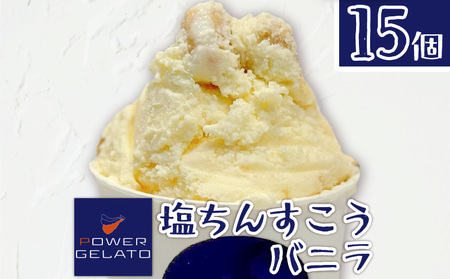 POWER GELATO（ 塩ちんすこうバニラ ） 90ml × 15個入り C073-005-03 冷凍 菓子 お菓子 スイーツ