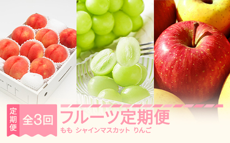 【先行予約】夏始まり 果実定期便全3回 令和8年産 ns-fthsr3-s
