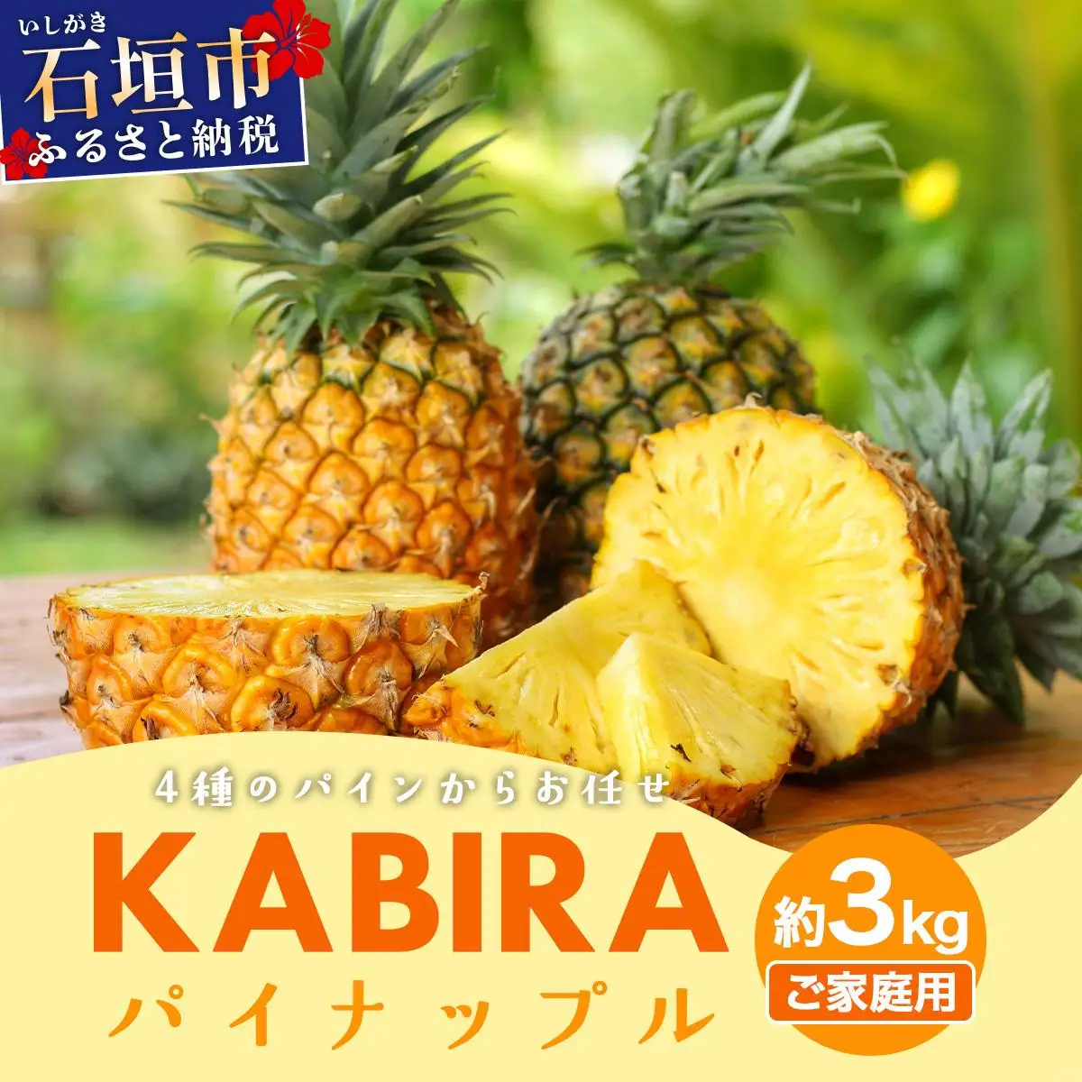 KABIRA パイナップル 訳あり 約3kg