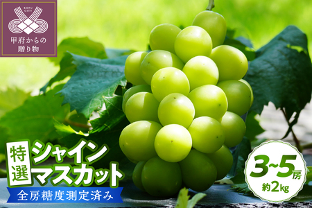 〈2026年度配送分〉【全房糖度測定済み】 山梨県産 特選シャインマスカット 3～5房（約2kg) シャインマスカット 先行予約 2026年 山梨県 ブドウ 種なし リピーター多数 数量限定 草生栽培 3～5房 約2.0kg 糖度測定 2026年8月上旬より順次配送予定