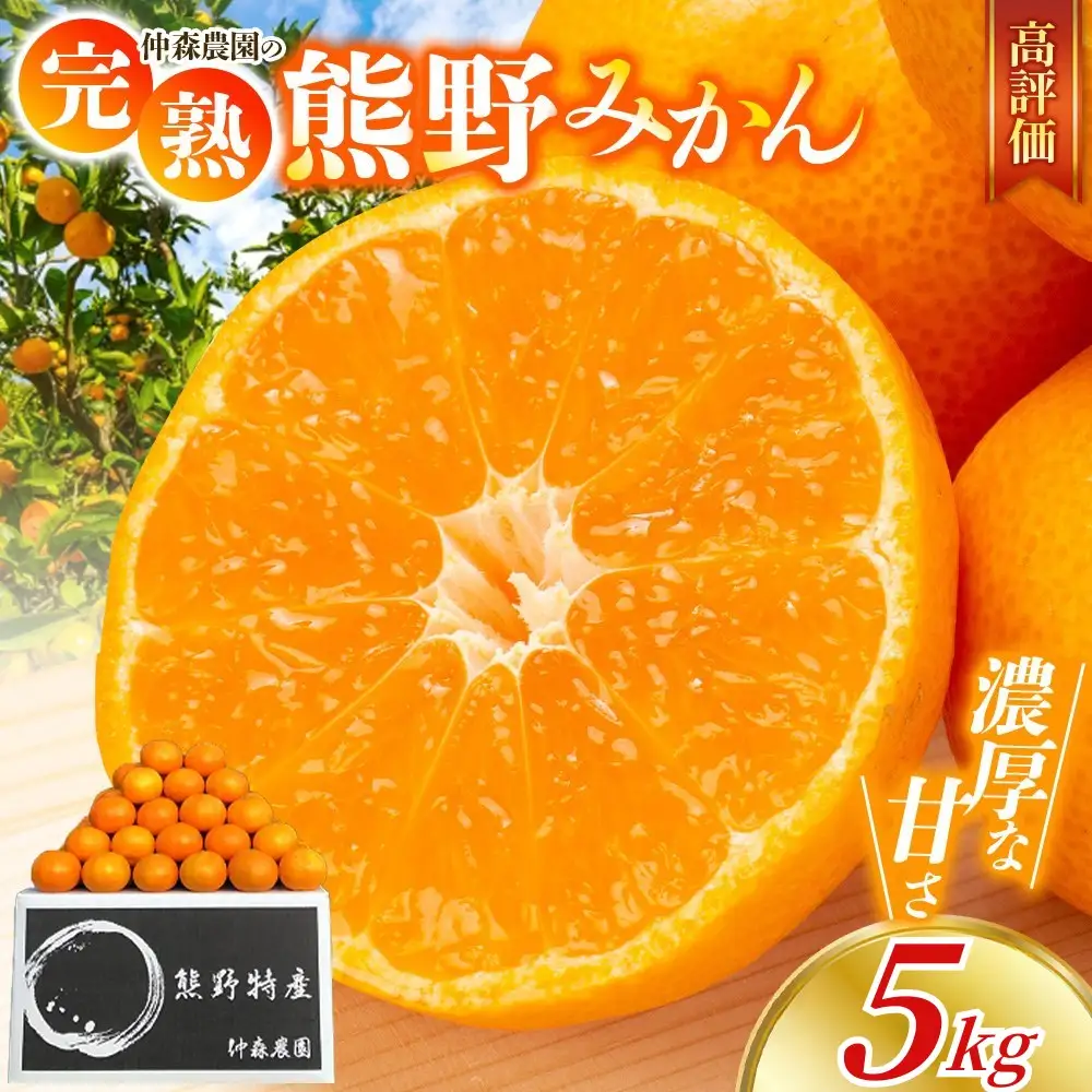 みかん 完熟 熊野みかん 5kg【nkmr0010】